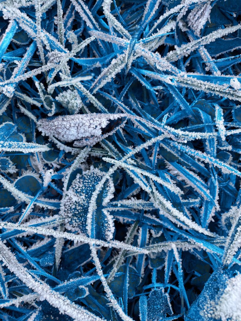 Suomen Vetylaakso ry:n uutiskirje 6/2025