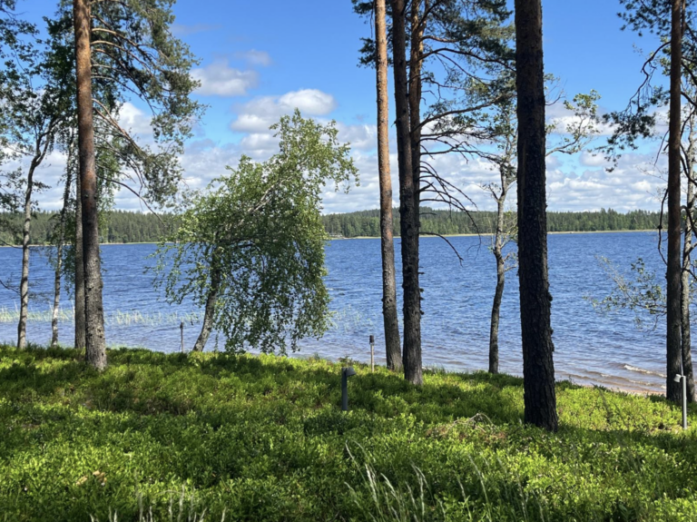 Suomen Vetylaakso ry:n uutiskirje 3/2026