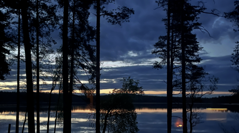 Suomen Vetylaakso ry:n uutiskirje 4/2026
